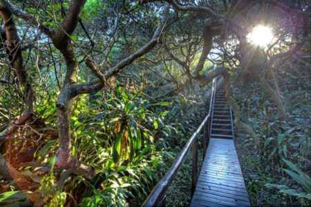 Hiking trail